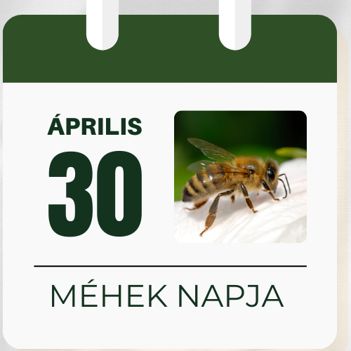 Méhek_napja_3