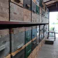 Hunor konténer méhekkel eladó