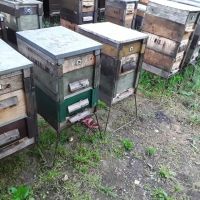 20 db méhcsalád kaptárral együtt sürgősen eladó vagy mézre cserélhető