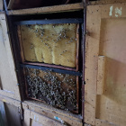 59 családos konténer