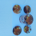 RAKODÓ KAPTÁRAK LYSON-MC