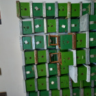 Méh anya pároztató kiskaptár keresi uj gazdáját.