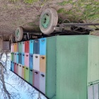 60 családos méheskocsi eladó