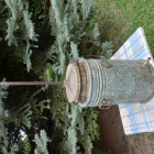 Gőzös viaszprés