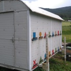 32 családos Kollár féle fiókos méhészkonténer