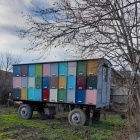 54 családos méheskocsi