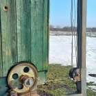 40 férőhelyes méhészkonténer