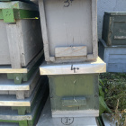 NB 16 keretes kaptár, 1/2nb rajláda