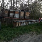 1/2 NB használt kaptárak Eladók