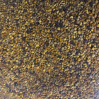 ELADÓ Tavalyi (2025)Virágpor 