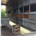 Hársméz, erdei sötétméz