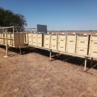 Kihúzhatós méhészkonténer eladó