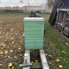 Méhészeti eszközök, kaptáre