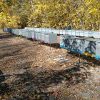 Méhcsaládok Hunor kereten eladók