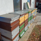 Eladó 7 db komplett Hunor habkaptár