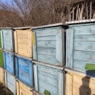 NB 15 kaptár, KB Új Fiók