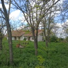 Méhészeti telephely eladó 