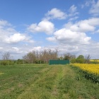 Méhészeti telephely eladó 