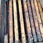 Méhcsaládok 24 keretes NB Kaptárban Eladók