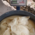 Piacozós repceméz