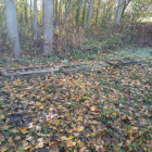 Eladó 40 db. vas kaptár ala